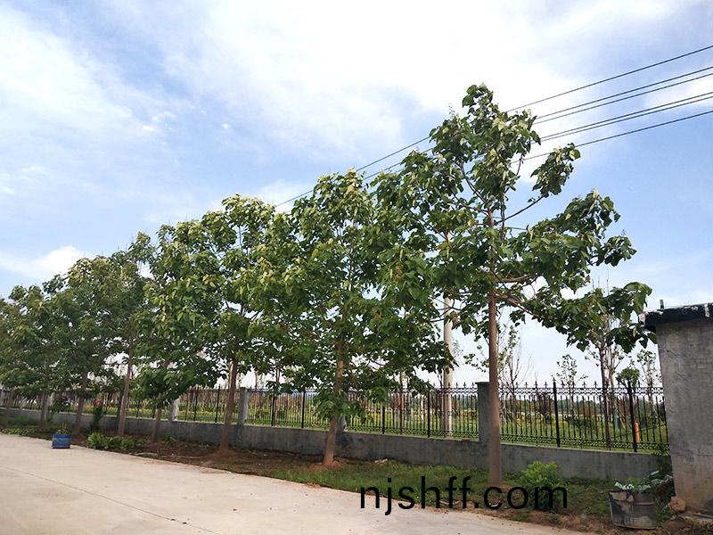 濟(ji)寧(ning)市大氣(qi)環境(jing)質量(liang)2015年12月(yue)份(fen)13縣(xian)市(shi)區(qu)排名