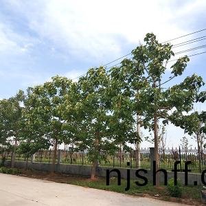 廠(chang)景(jing)圖